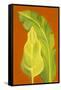 Life in the Tropics II-Soraya Chemaly-Framed Stretched Canvas