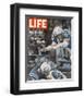 LIFE Indianapolis Colts Gaubatz-null-Framed Premium Giclee Print