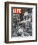 LIFE Indianapolis Colts Gaubatz-null-Framed Premium Giclee Print
