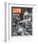 LIFE Indianapolis Colts Gaubatz-null-Framed Premium Giclee Print