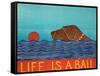 Life Is A Ball Choc-Stephen Huneck-Framed Stretched Canvas