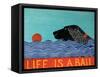 Life Is A Ball Flat Coat Black-Stephen Huneck-Framed Stretched Canvas
