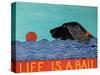 Life Is A Ball Flat Coat Black-Stephen Huneck-Stretched Canvas
