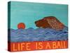 Life Is A Ball Flat Coat Brown-Stephen Huneck-Stretched Canvas