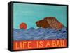 Life Is A Ball Flat Coat Brown-Stephen Huneck-Framed Stretched Canvas