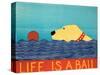 Life Is A Ball Yell-Stephen Huneck-Stretched Canvas