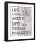 Life Is A Challenge-null-Framed Art Print