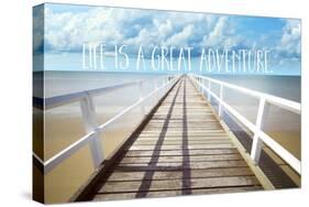 Life Is a Great Adventure-Tina Lavoie-Stretched Canvas