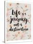Life Is A Journey-Mia Charro-Stretched Canvas