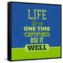 Life Is a One Time Offer 1-Lorand Okos-Framed Stretched Canvas