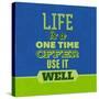 Life Is a One Time Offer 1-Lorand Okos-Stretched Canvas