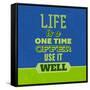 Life Is a One Time Offer 1-Lorand Okos-Framed Stretched Canvas