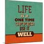 Life Is a One Time Offer-Lorand Okos-Mounted Art Print