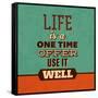 Life Is a One Time Offer-Lorand Okos-Framed Stretched Canvas