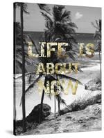 Life is About Now-Sheldon Lewis-Stretched Canvas