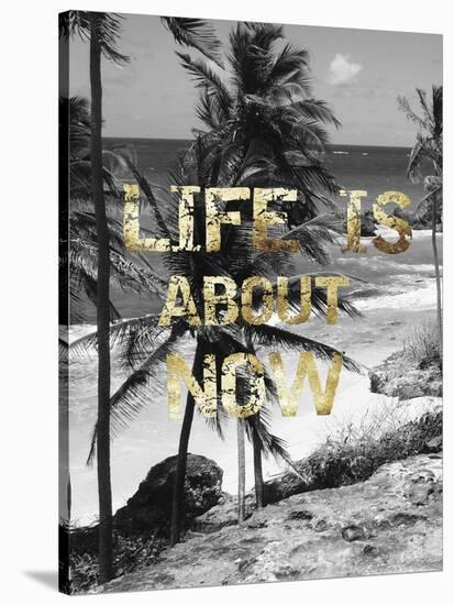 Life is About Now-Sheldon Lewis-Stretched Canvas