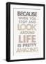 Life is Amazing II-Mercedes Lopez Charro-Framed Art Print