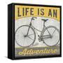 Life is an Adventure-null-Framed Stretched Canvas