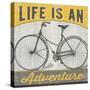 Life is an Adventure-null-Stretched Canvas