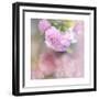 Life is Beautiful-Sarah Gardner-Framed Premium Giclee Print