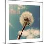 Life is Beautiful-Gail Peck-Mounted Premium Giclee Print