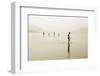 Life Is Beautiful-Dragan M. Babovic-Framed Photographic Print