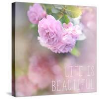 Life is Beautiful-Sarah Gardner-Stretched Canvas