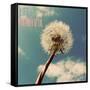 Life is Beautiful-Gail Peck-Framed Stretched Canvas