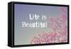 Life Is Beautiful-Vintage Skies-Framed Stretched Canvas