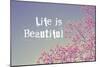 Life Is Beautiful-Vintage Skies-Mounted Giclee Print