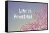 Life Is Beautiful-Vintage Skies-Framed Stretched Canvas