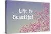 Life Is Beautiful-Vintage Skies-Stretched Canvas