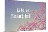 Life Is Beautiful-Vintage Skies-Mounted Giclee Print