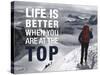 Life is Better at the Top-Richardson Peter-Stretched Canvas