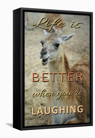 Life Is Better Laughing-Cora Niele-Framed Stretched Canvas