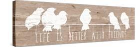 Life is Better with Friends-Patricia Pinto-Stretched Canvas