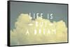 Life Is But a Dream-Vintage Skies-Framed Stretched Canvas