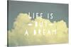 Life Is But a Dream-Vintage Skies-Stretched Canvas