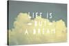 Life Is But a Dream-Vintage Skies-Stretched Canvas