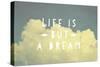 Life Is But a Dream-Vintage Skies-Stretched Canvas