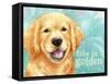 Life Is Golden Retriever-Melinda Hipsher-Framed Stretched Canvas