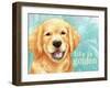 Life Is Golden Retriever-Melinda Hipsher-Framed Giclee Print