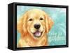 Life Is Golden Retriever-Melinda Hipsher-Framed Stretched Canvas