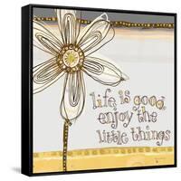 Life Is Good, Enjoy the Little Things-Robbin Rawlings-Framed Stretched Canvas