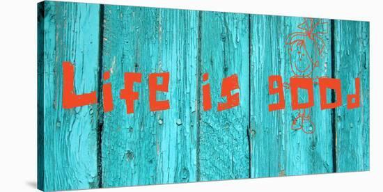 Life is good III-Irena Orlov-Stretched Canvas