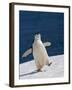 Life Is Good-Sergey Kokinskiy-Framed Photographic Print