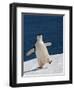 Life Is Good-Sergey Kokinskiy-Framed Photographic Print