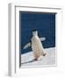 Life Is Good-Sergey Kokinskiy-Framed Photographic Print