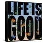 Life Is Good-Mark Ashkenazi-Framed Stretched Canvas