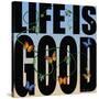 Life Is Good-Mark Ashkenazi-Stretched Canvas